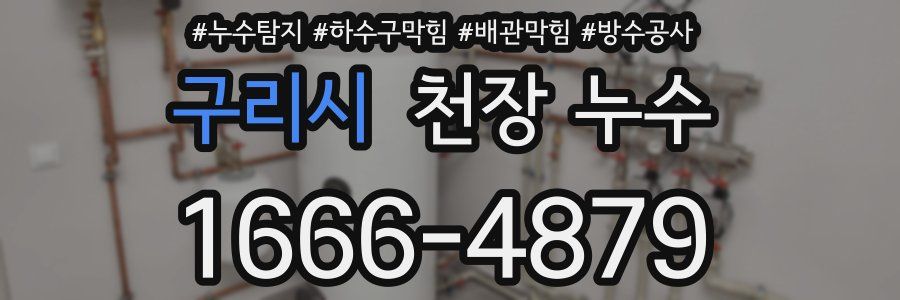 구리시 천장 누수