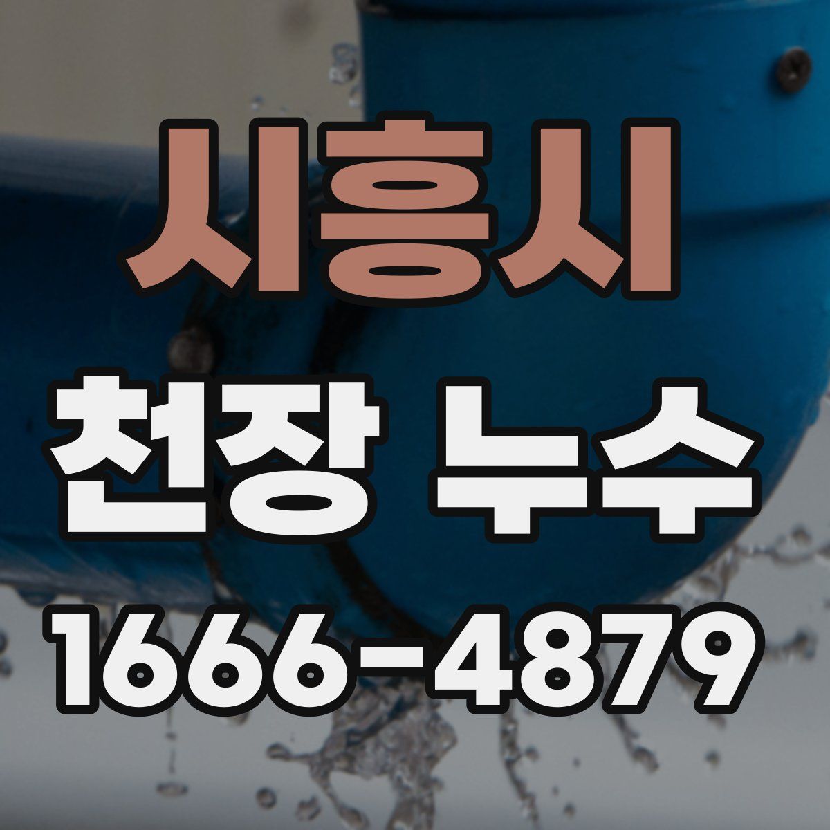 시흥시 천장 누수