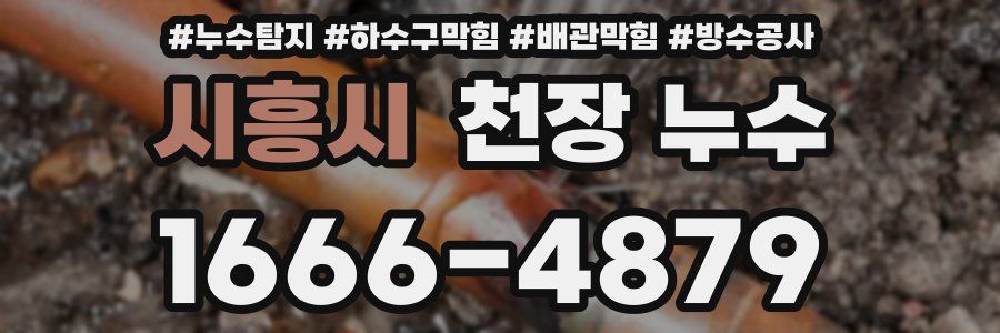 시흥시 천장 누수