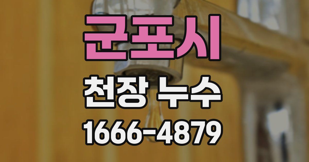 군포시 천장 누수