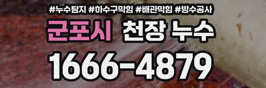 군포시 천장 누수