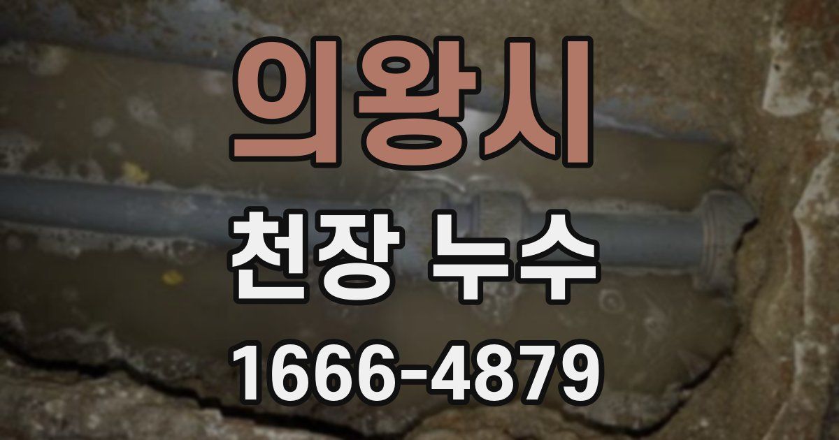 의왕시 천장 누수
