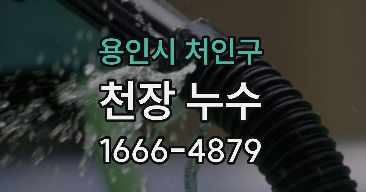 용인시 처인구 천장 누수