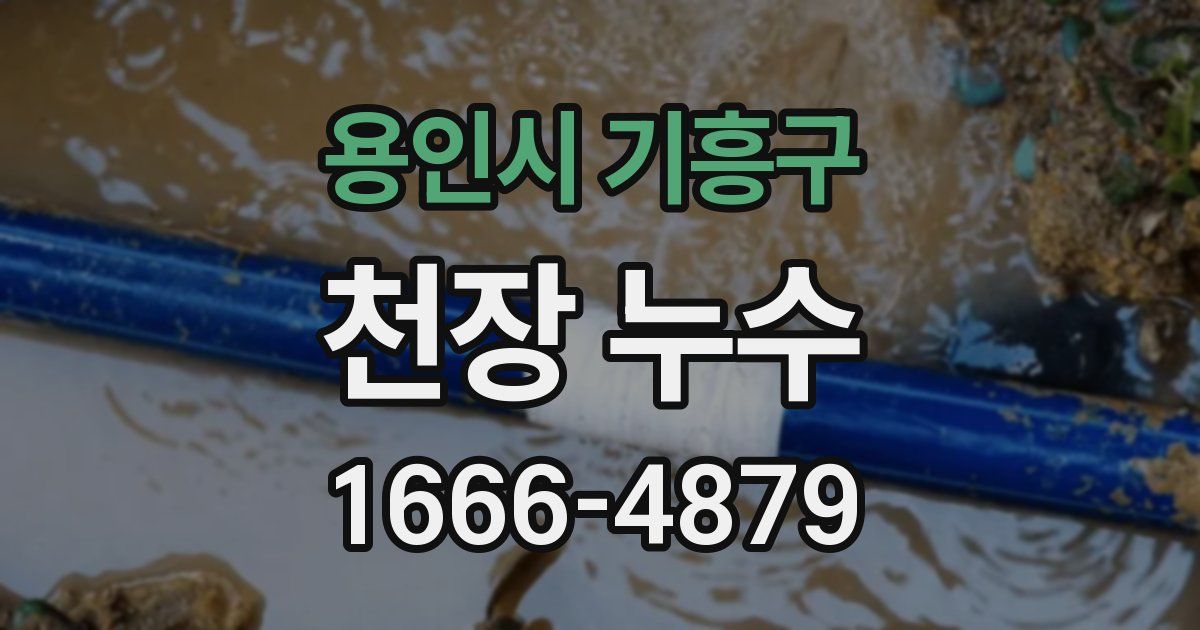 용인시 기흥구 천장 누수