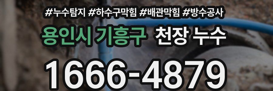 용인시 기흥구 천장 누수