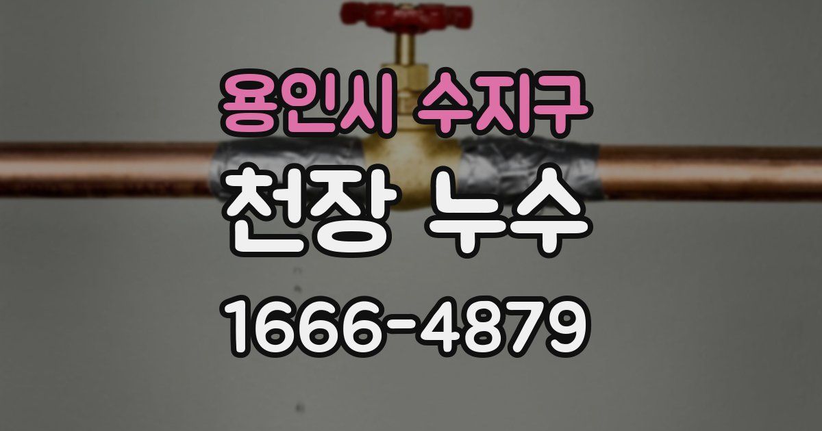 용인시 수지구 천장 누수