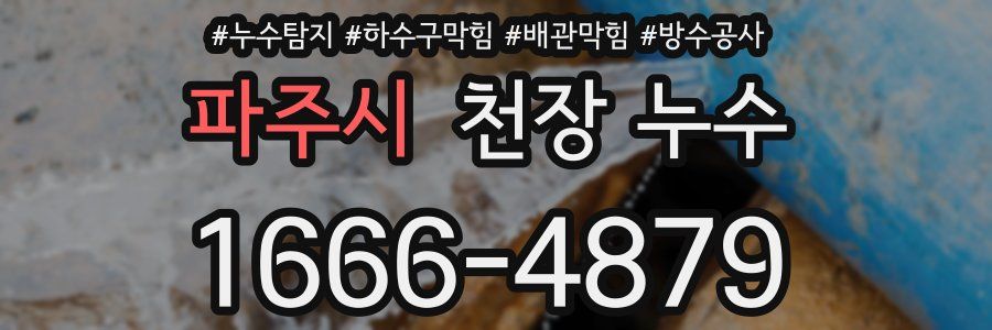 파주시 천장 누수