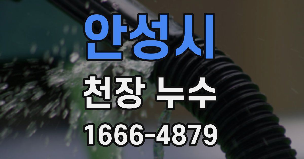 안성시 천장 누수
