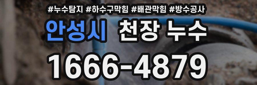 안성시 천장 누수