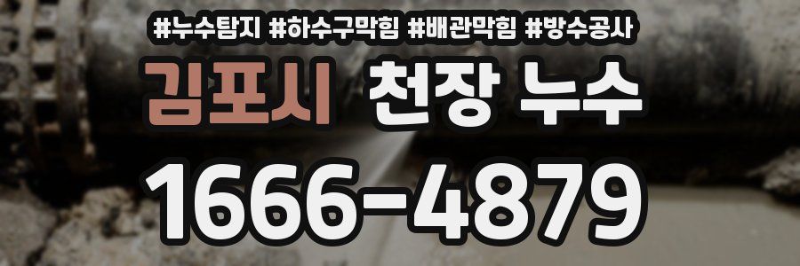 김포시 천장 누수