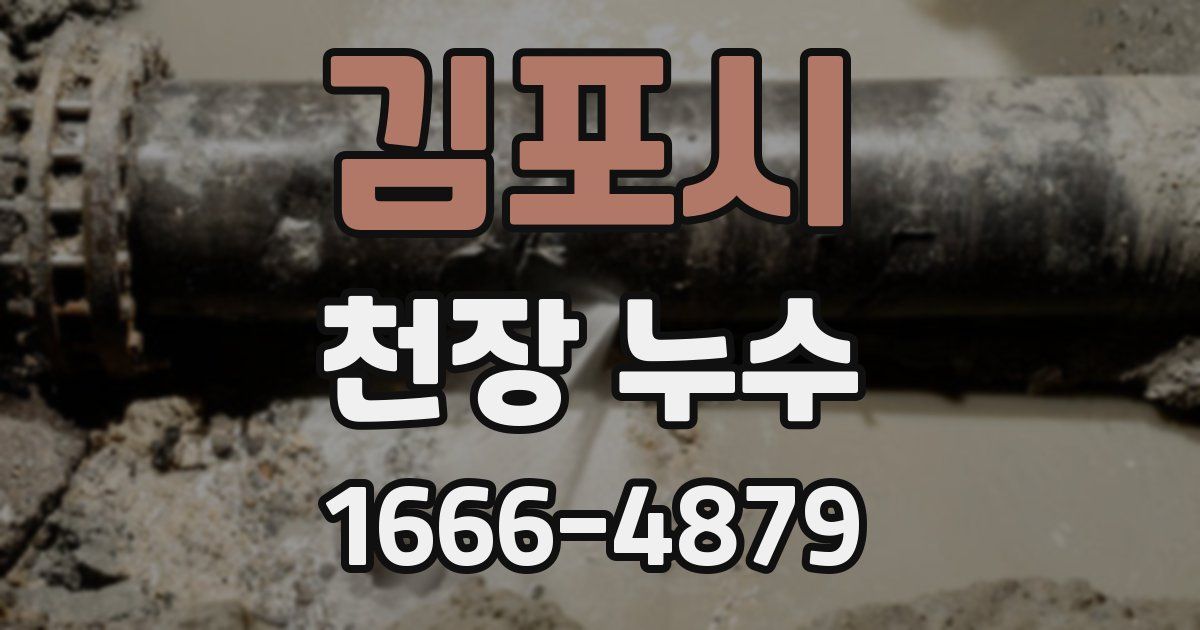 김포시 천장 누수