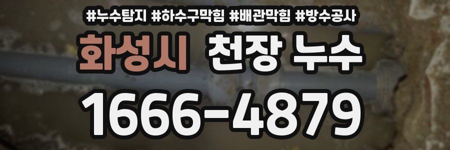 화성시 천장 누수