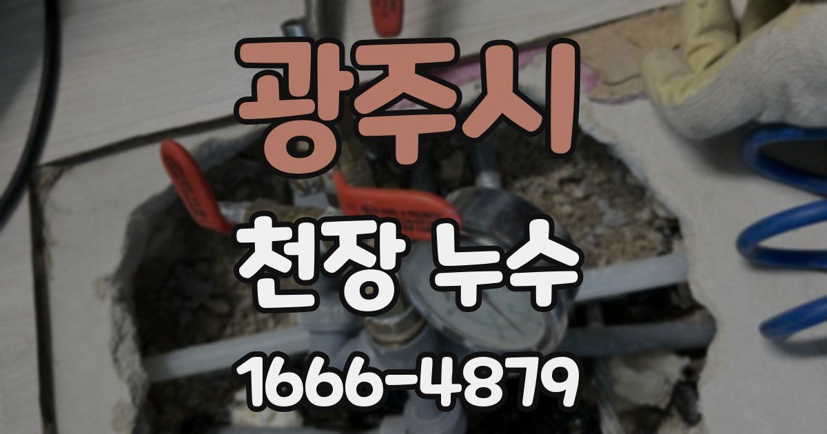 광주시 천장 누수
