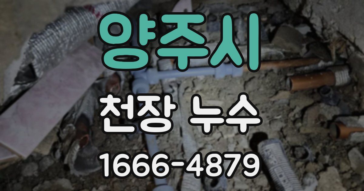 양주시 천장 누수