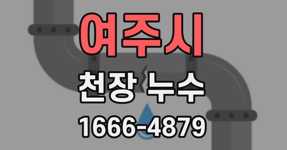 여주시 천장 누수