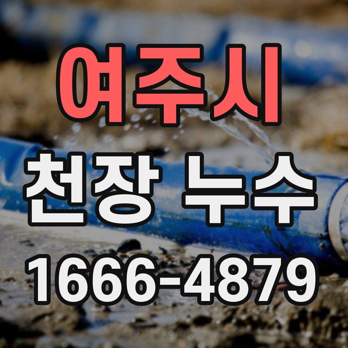 여주시 천장 누수