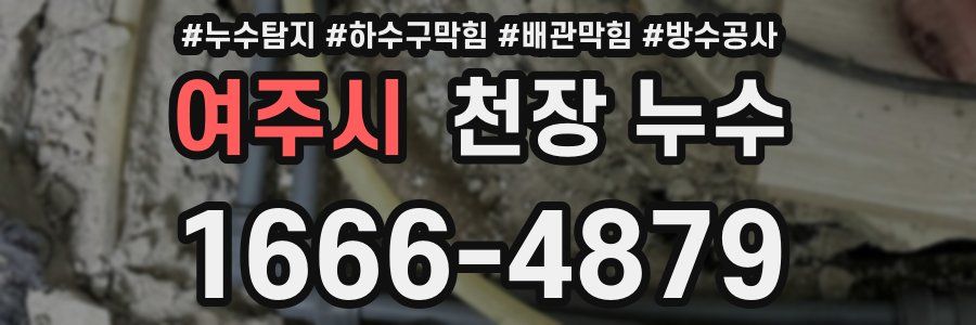 여주시 천장 누수