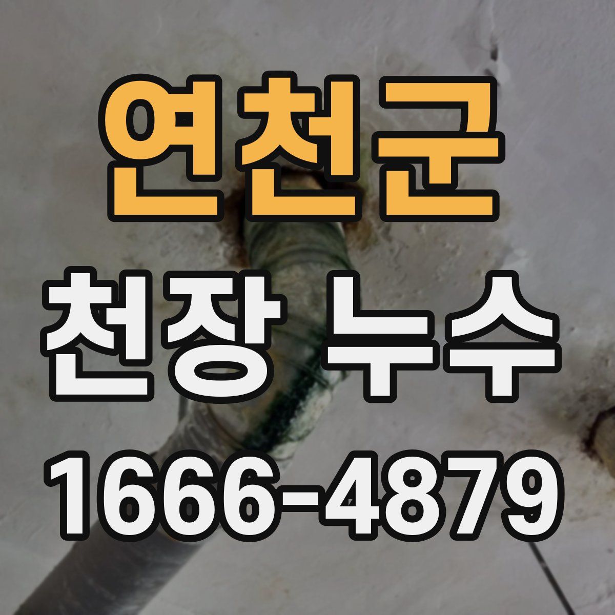 연천군 천장 누수