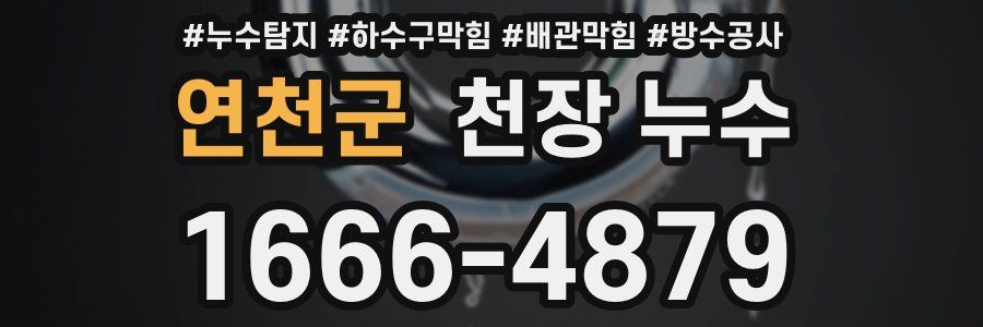 연천군 천장 누수