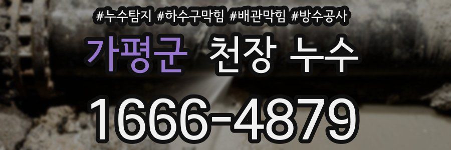 가평군 천장 누수