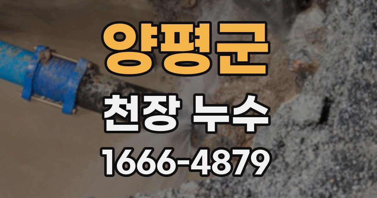 양평군 천장 누수