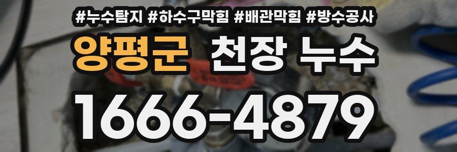 양평군 천장 누수
