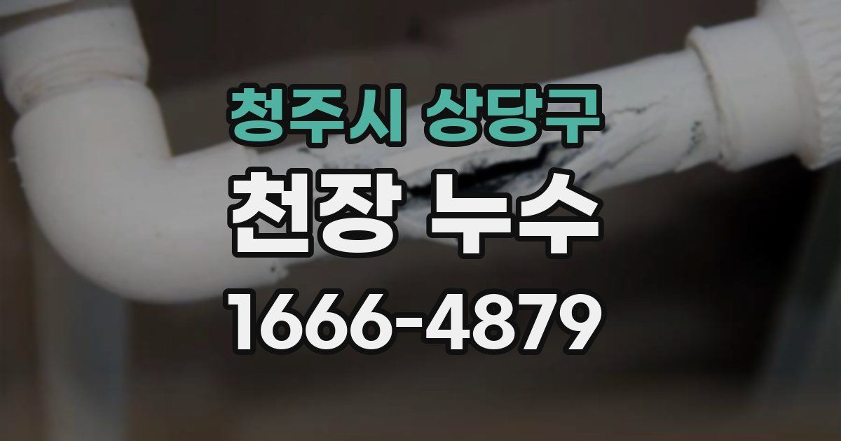청주시 상당구 천장 누수