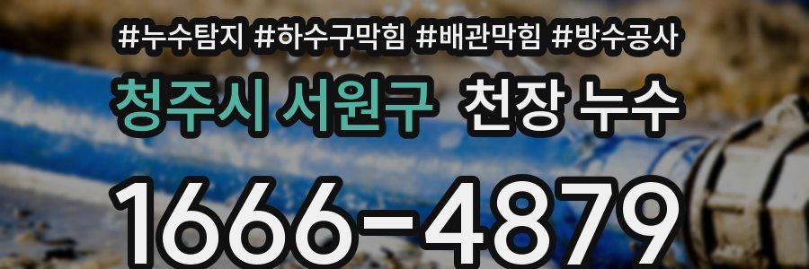 청주시 서원구 천장 누수