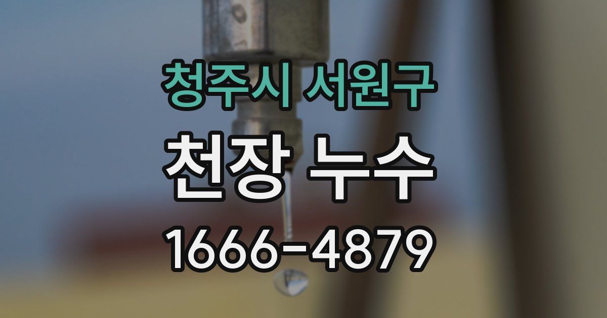 청주시 서원구 천장 누수