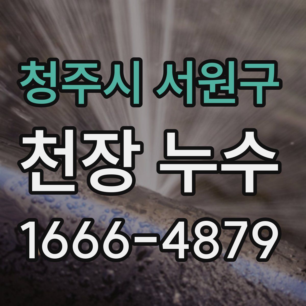 청주시 서원구 천장 누수