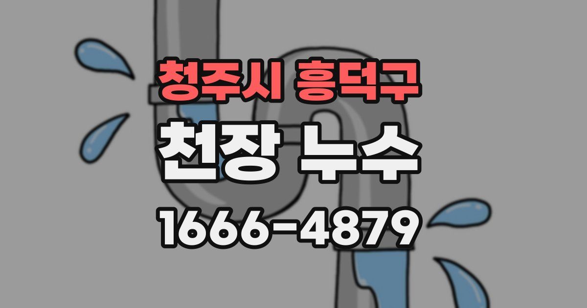 청주시 흥덕구 천장 누수