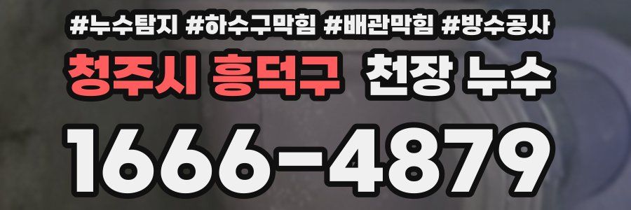 청주시 흥덕구 천장 누수