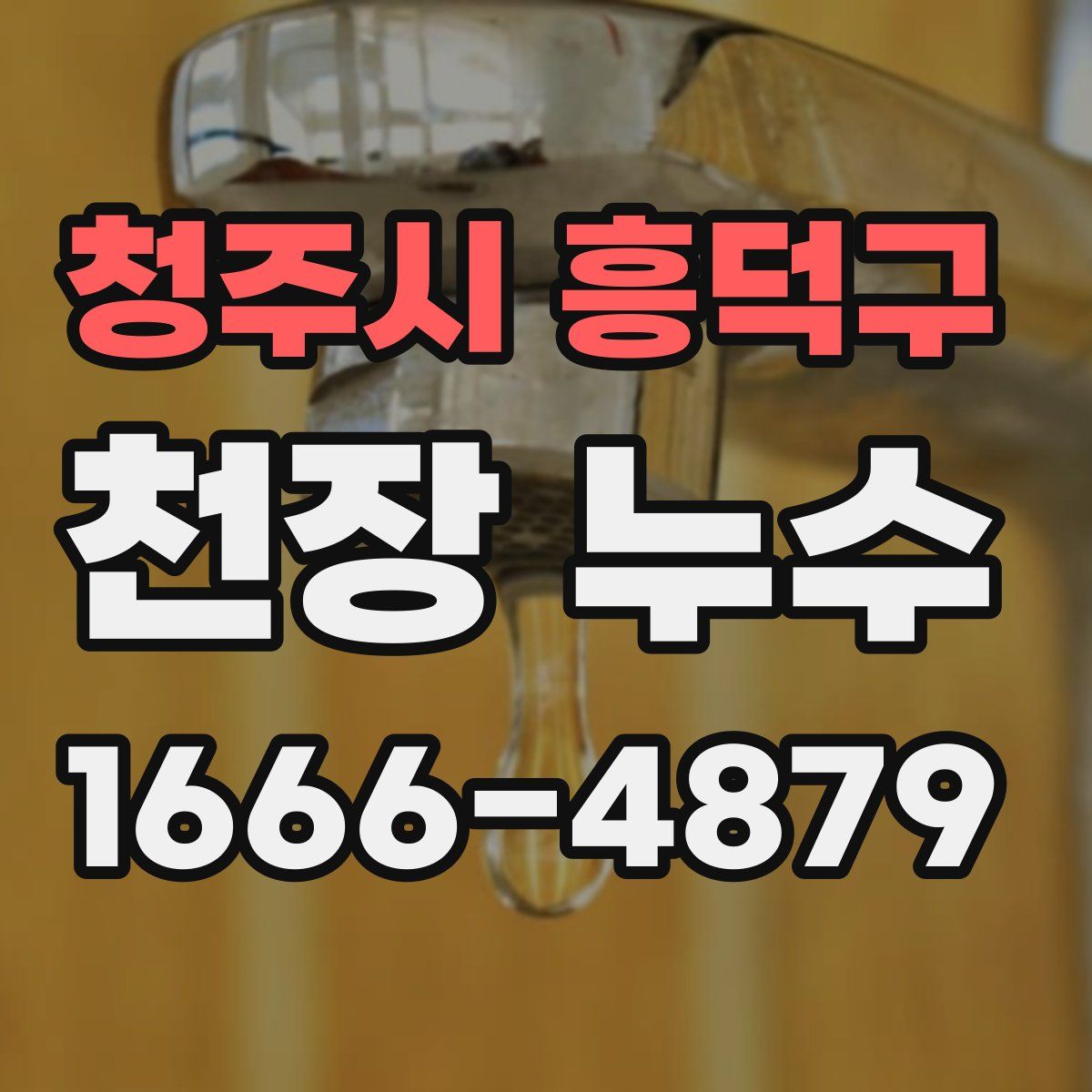 청주시 흥덕구 천장 누수