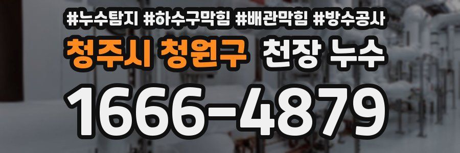 청주시 청원구 천장 누수