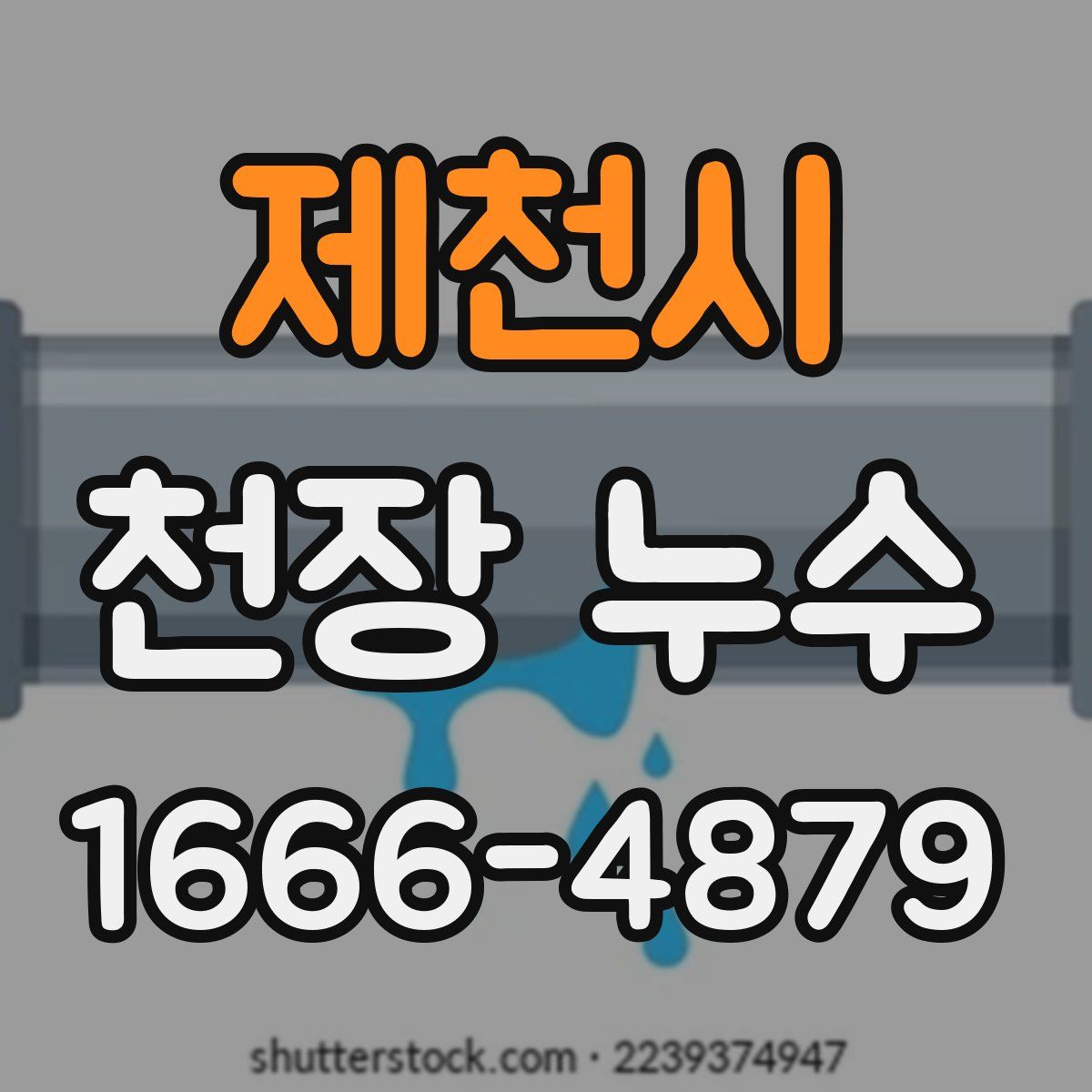 제천시 천장 누수