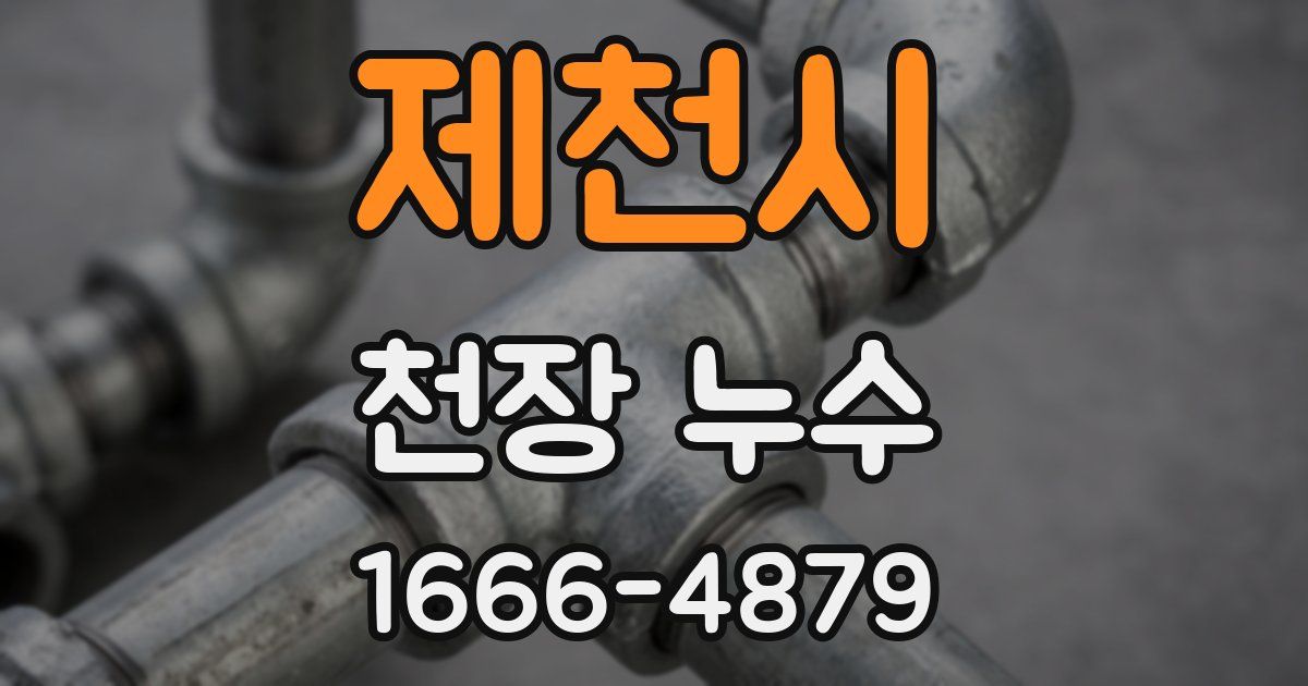 제천시 천장 누수