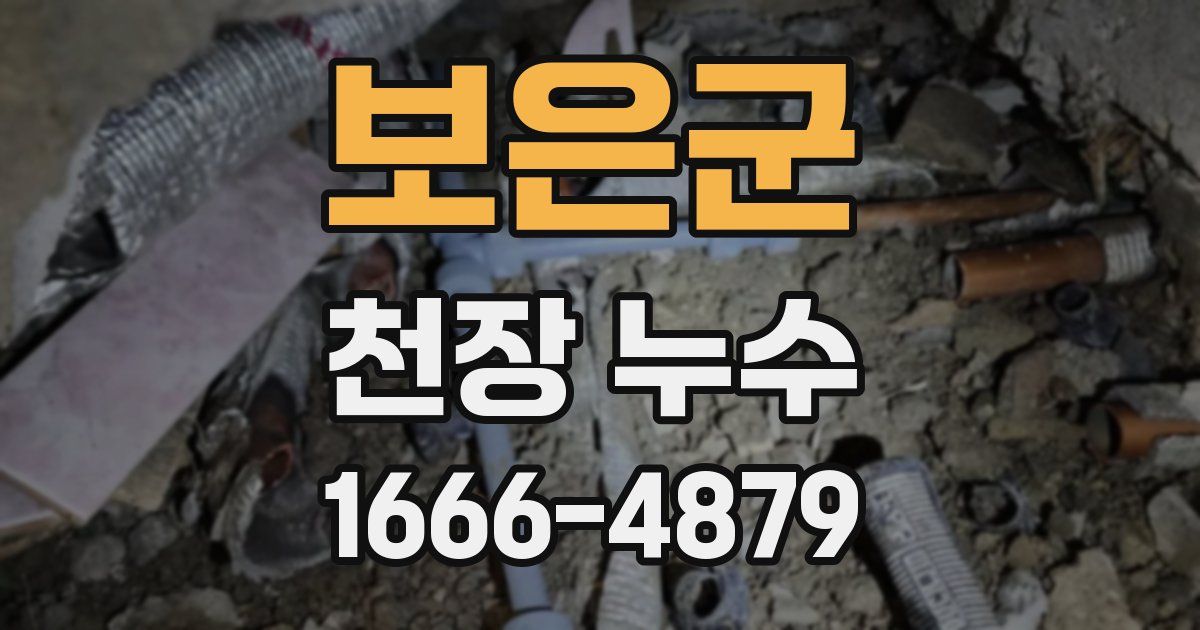 보은군 천장 누수