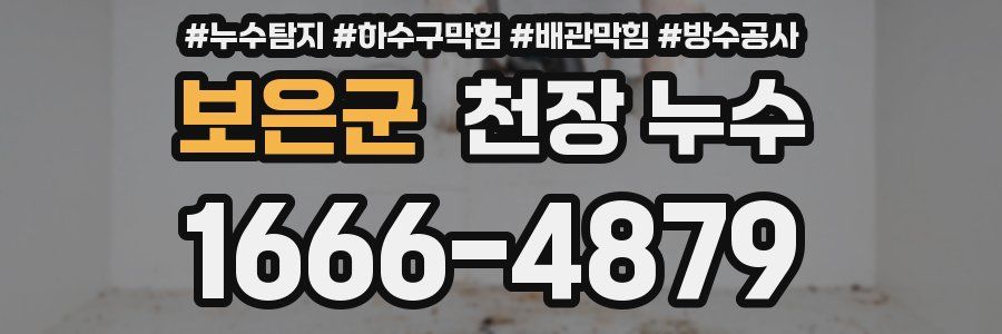 보은군 천장 누수