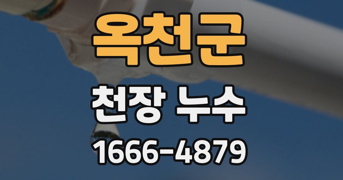 옥천군 천장 누수