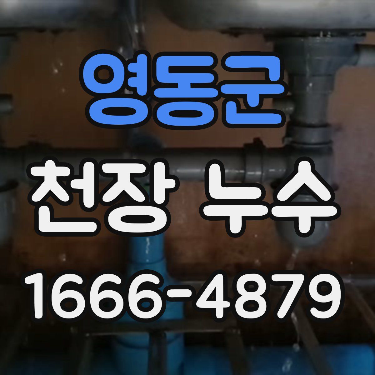 영동군 천장 누수
