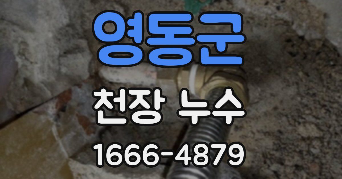 영동군 천장 누수