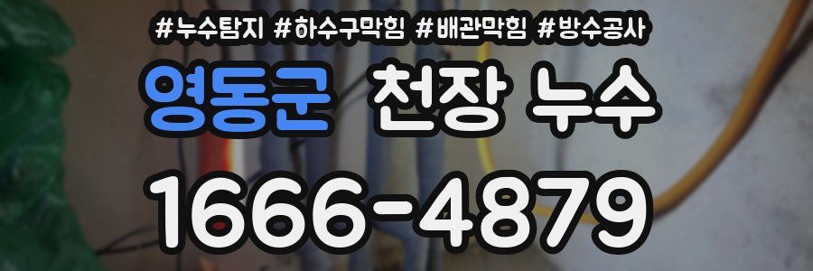 영동군 천장 누수