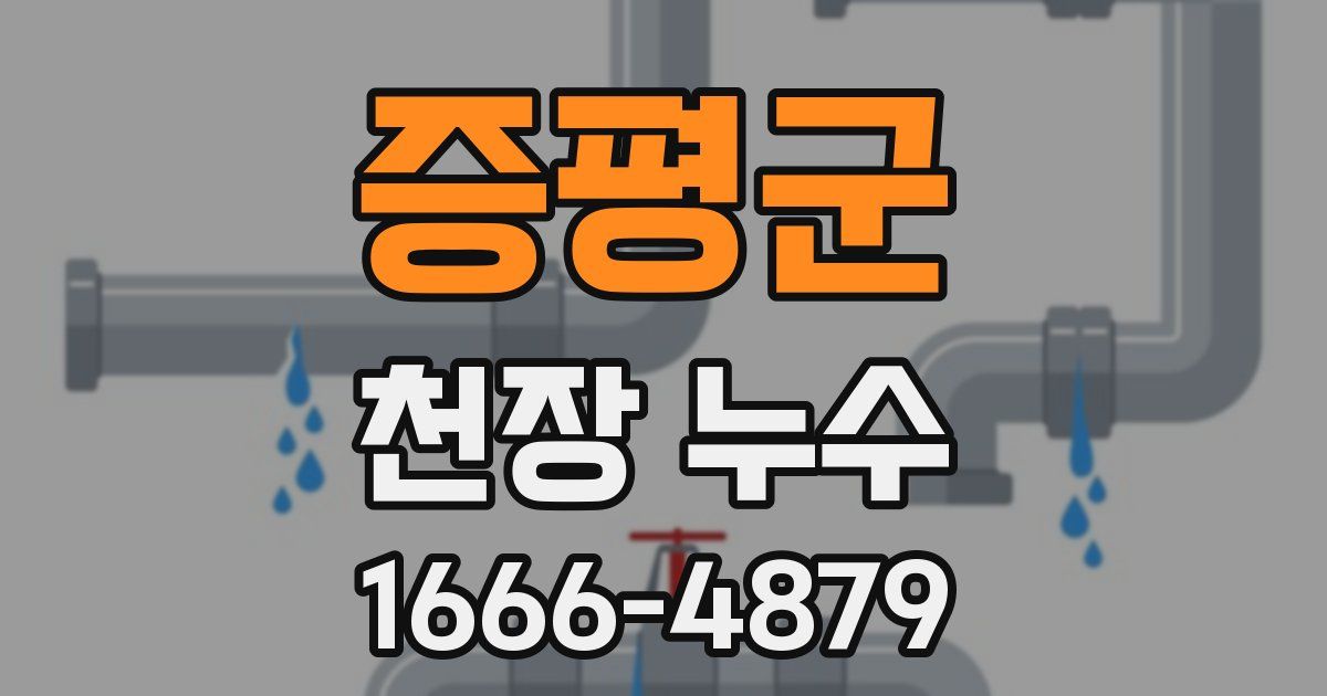 증평군 천장 누수