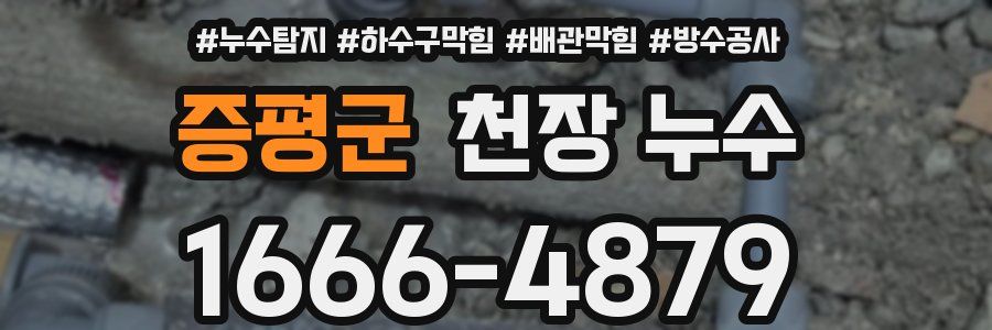 증평군 천장 누수