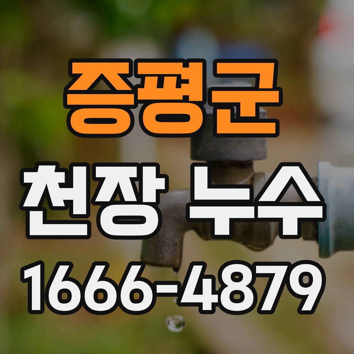 증평군 천장 누수