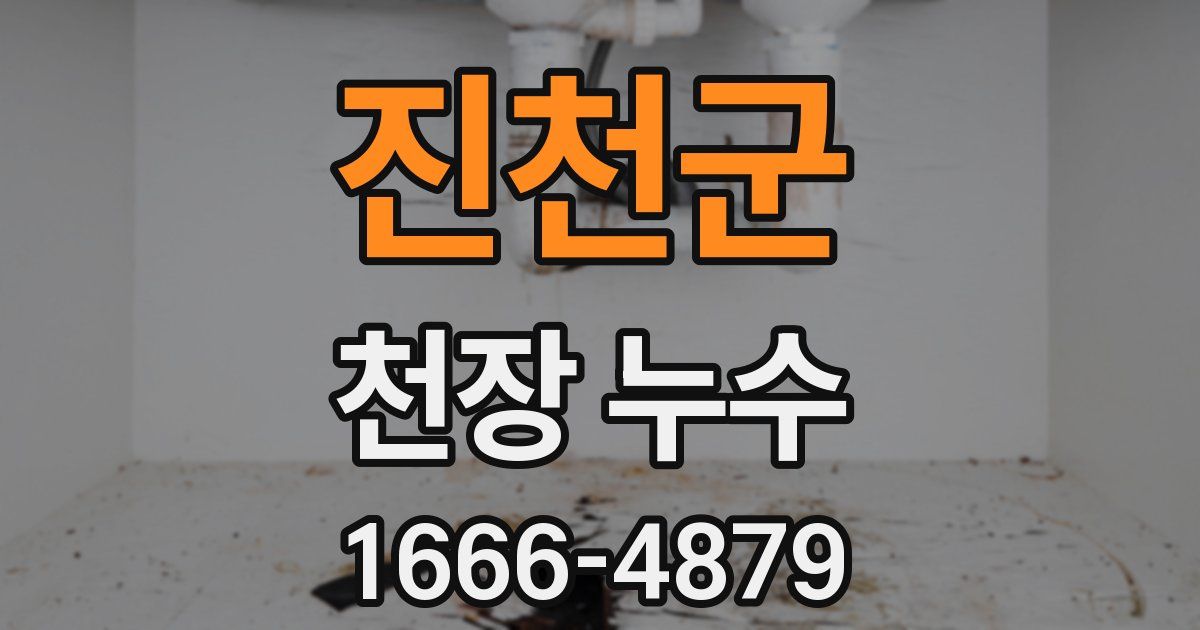 진천군 천장 누수