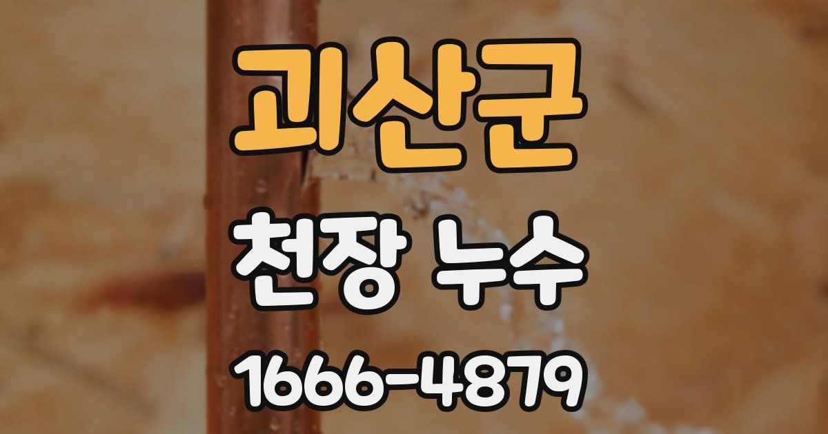 괴산군 천장 누수