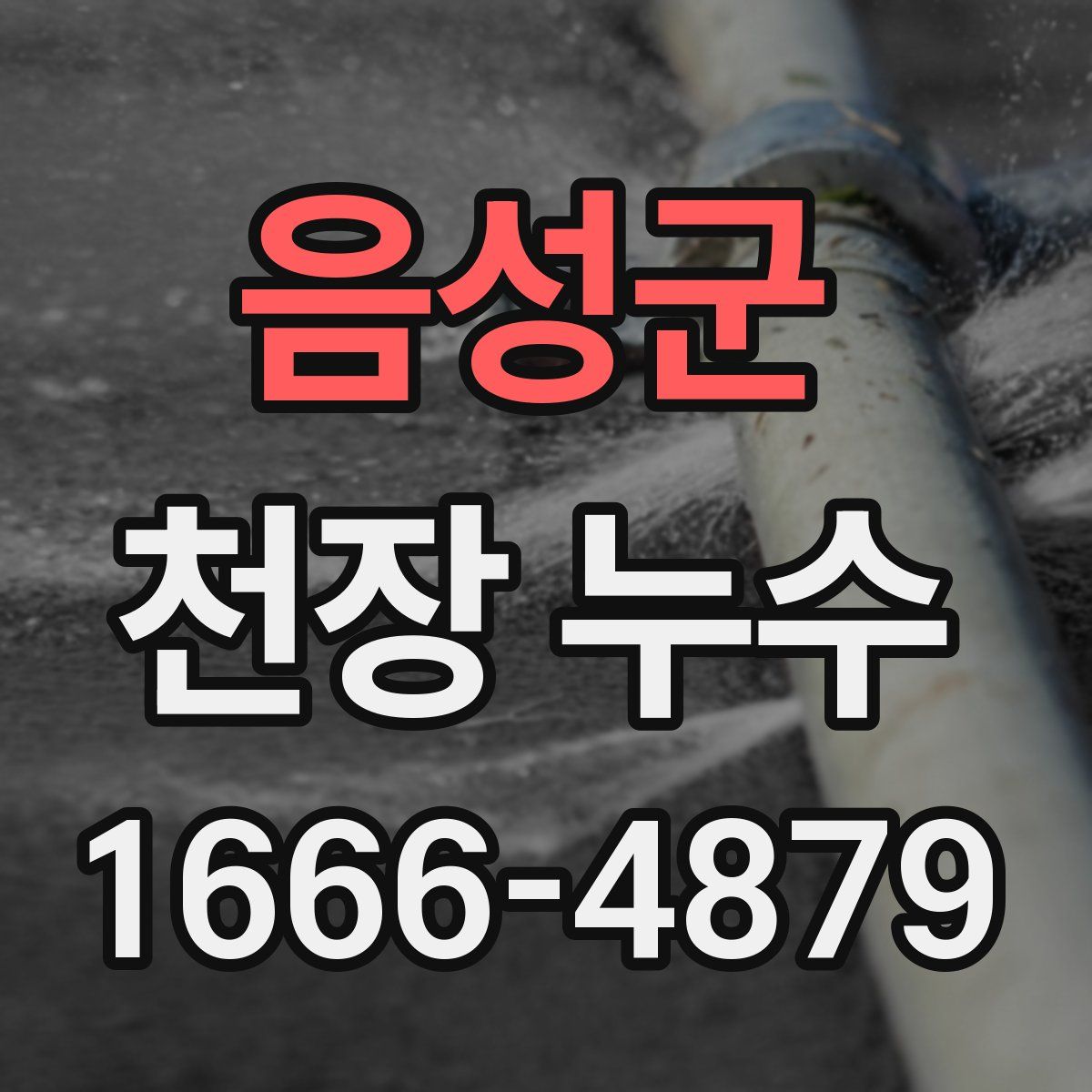 음성군 천장 누수