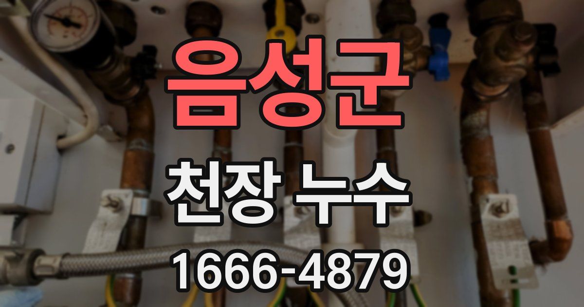 음성군 천장 누수