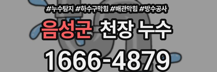 음성군 천장 누수